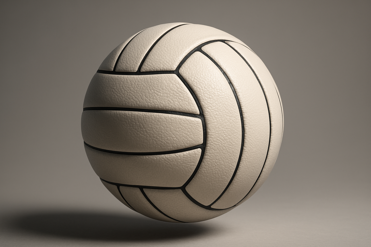 3D Volleyball